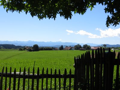 Blick vom Waldcafé über Wiesen Richtung allgäuer Alpen, gerahmt von einem Zaun