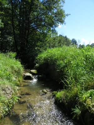 Bach bei der Wassertretanlage in Rothenstein / Bad Grönenbach